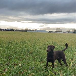 Meet your Posher, Mark